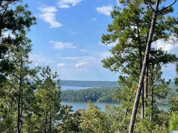 0 Eagle Mountain Rd #1, Weogufka, AL 35183
