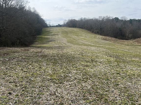 4th image of 3460 New Home Rd