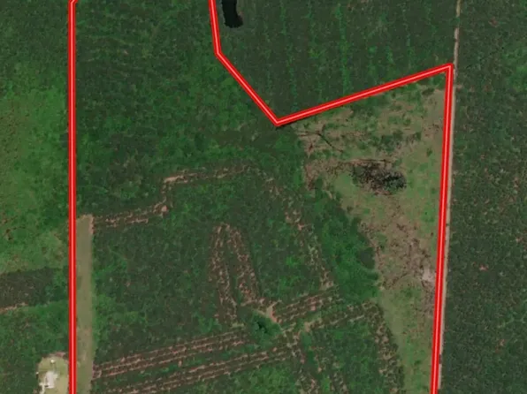 TBD N Old Georgetown Rd., Lake City, SC 29560