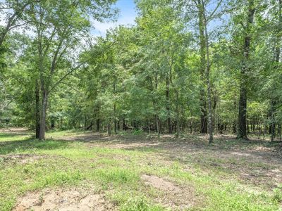 16 Vz County Rd #1804, Grand Saline, TX, 75140