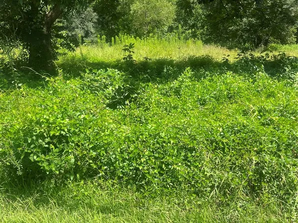 1001 Avenue E, Conroe, TX 77301