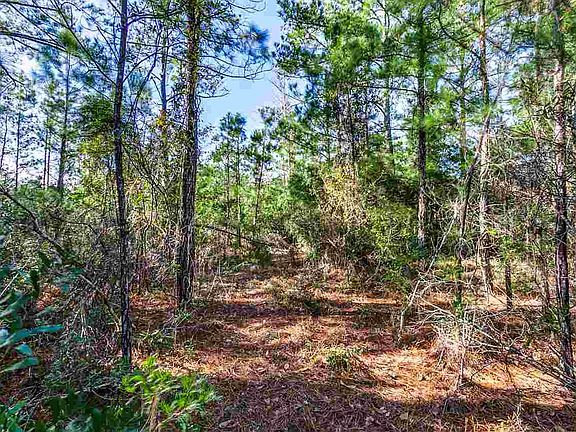 4th image of 808 Celene Ct. Lot 141