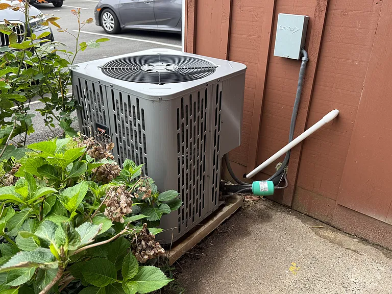 330 Short Beach Rd #G11 — Photo 3