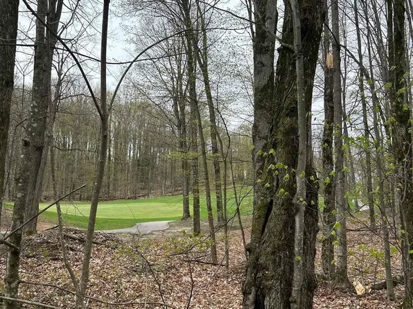 LOT 46 Creekside, Bellaire, MI 49615