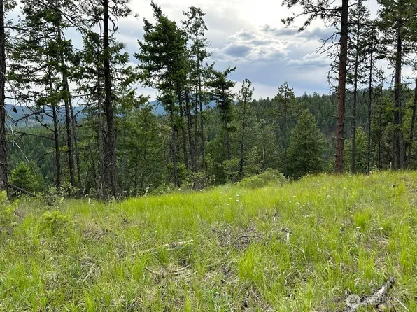3600 Sherian Road #Q, Republic, WA 99166