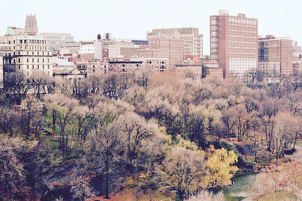 Rented by Owner | media 22