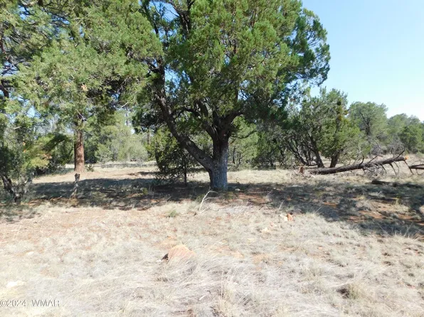 3054 Pinewood Dr, Overgaard, AZ 85933