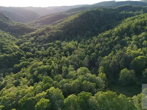 11 Old Schoolhouse Rd, Flat Top, WV 25841