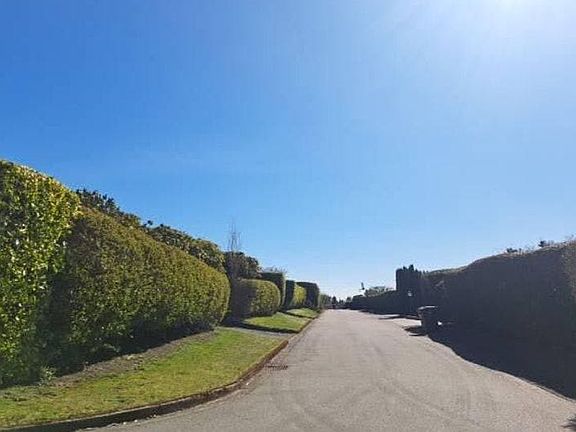 4th image of 960 S Fairview Dr