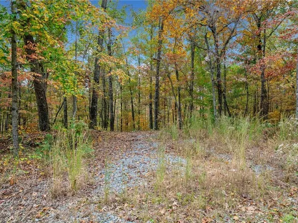 363 Old Post Trl Lot 5, Talking Rock, GA 30175