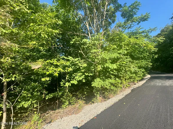 617 N North Pointe Trl, Allons, TN 38541