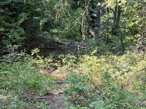 Lots 17 18 Lillooet Dr, Inchelium, WA 99138