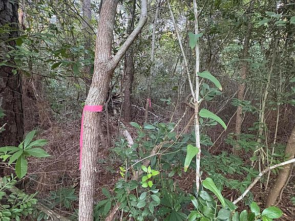 3rd image of 524 Boundary Loop Road NW LOT 252