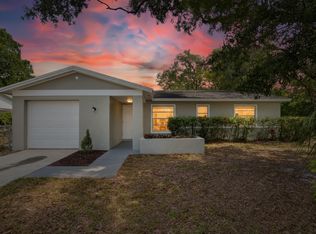 714 Falkirk Ave, Valrico, FL 33594