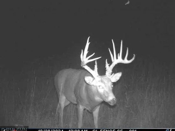 1 105th Ave NE, Foley, MN 56329