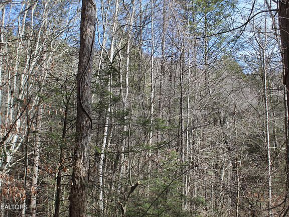4th image of State Highway 66 Dorton Branch Rd