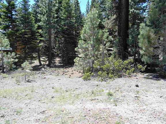 2nd image of 1710 Majestic Pines Dr