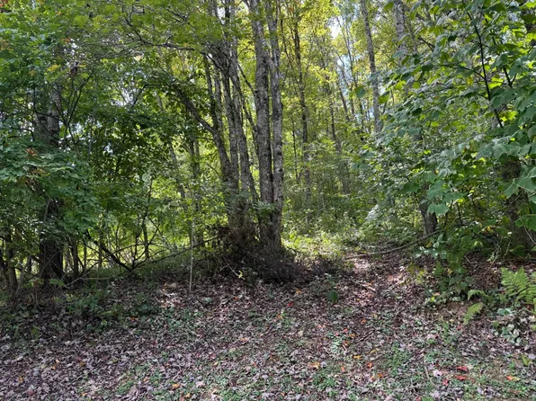 Tbd Balsam Dr, Newland, NC 28657