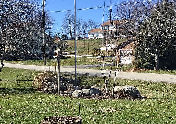 Front yard looking outward