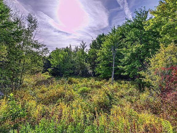 3rd image of 18.4 Acres ZUBELLA ROAD