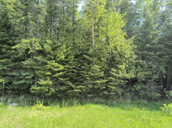 Nhn M 68 Hwy, Rogers City, MI 49779