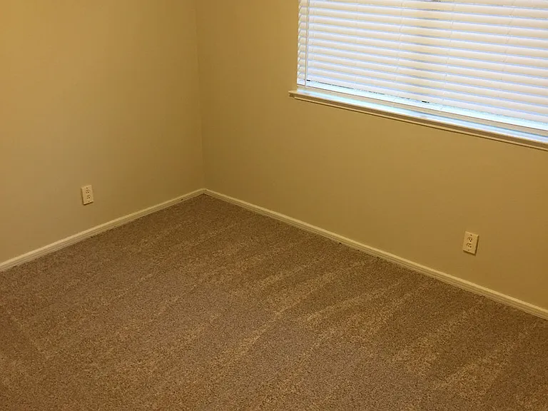 110 Rock Ravine Ct — Photo 16