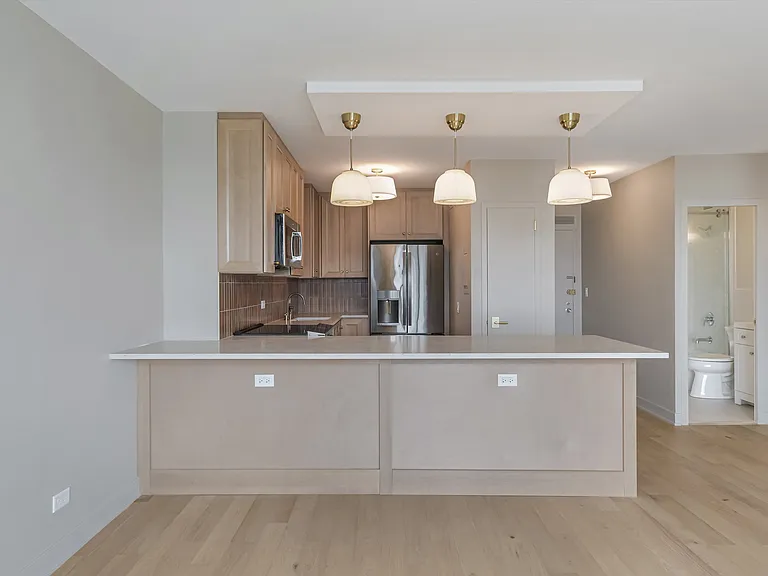 1550 N Lake Shore Dr #29D — Photo 7