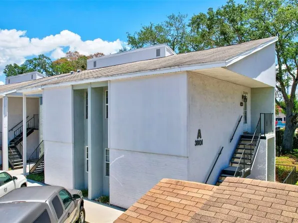 3801 N Oak Dr Unit A12, Tampa, FL 33611