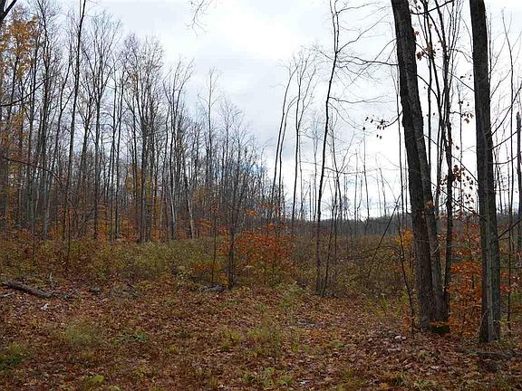 5th image of Hardwood St