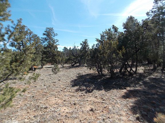 3rd image of 1476 Low Mountain Trl