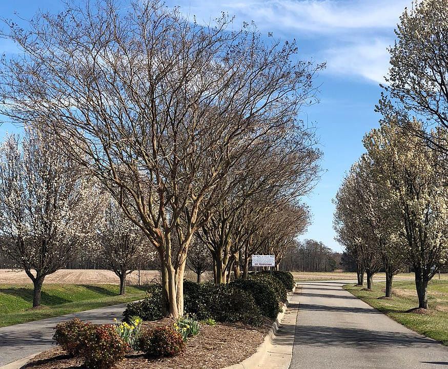 1st image of 486 Pointe Vista Drive LOT 83