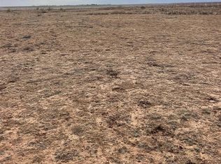 12317 N County Road 2900, Idalou, TX 79329