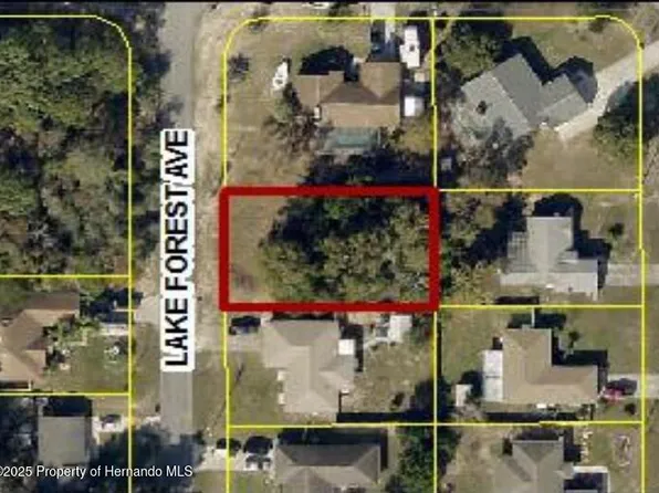 0 Lake Forest Ave, Spring Hill, FL 34609