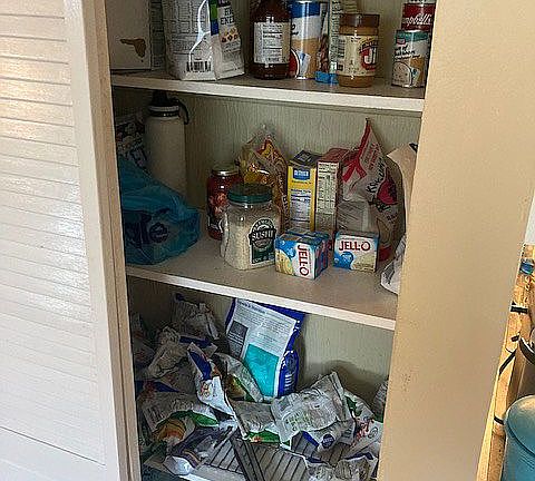 Pantry in Kitchen (right sid