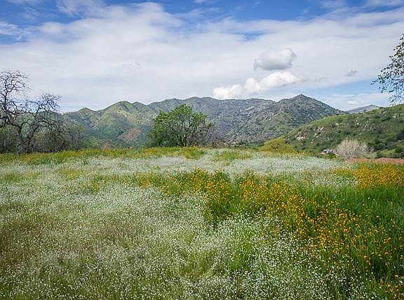 5th image of 42360 Corral Dr