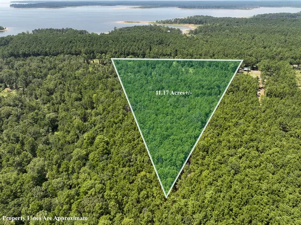 1 Fm 3173, Broaddus, TX 75929