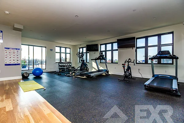 Rented by EXR | media 50