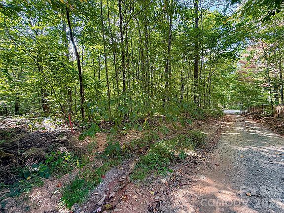 3rd image of 99999 High Top Mountain Rd Lot 3