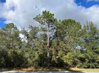923 W National St, Hernando, FL 34442