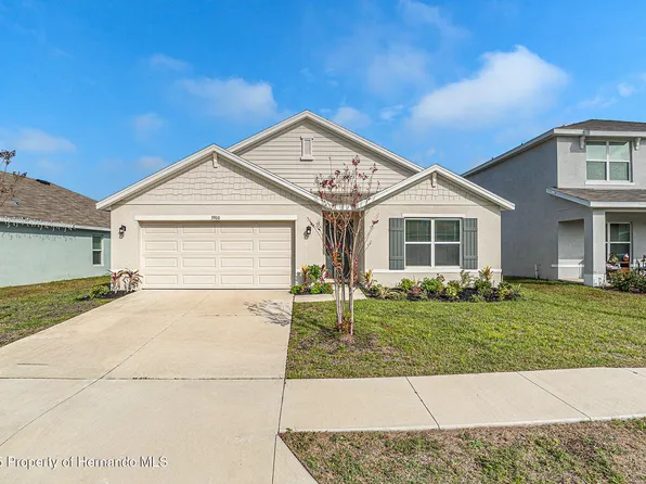 3900 Autumn Amber Dr, Spring Hill, FL 34609