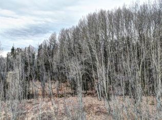 646 Antelope Way, Como, CO 80432