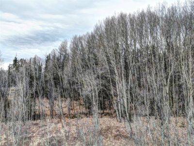 646 Antelope Way, Como, CO, 80432
