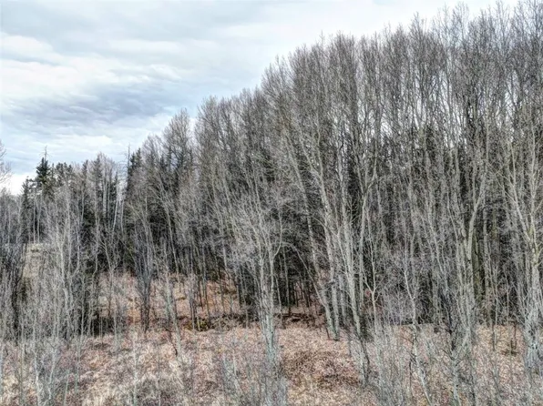 646 Antelope Way, Como, CO 80432