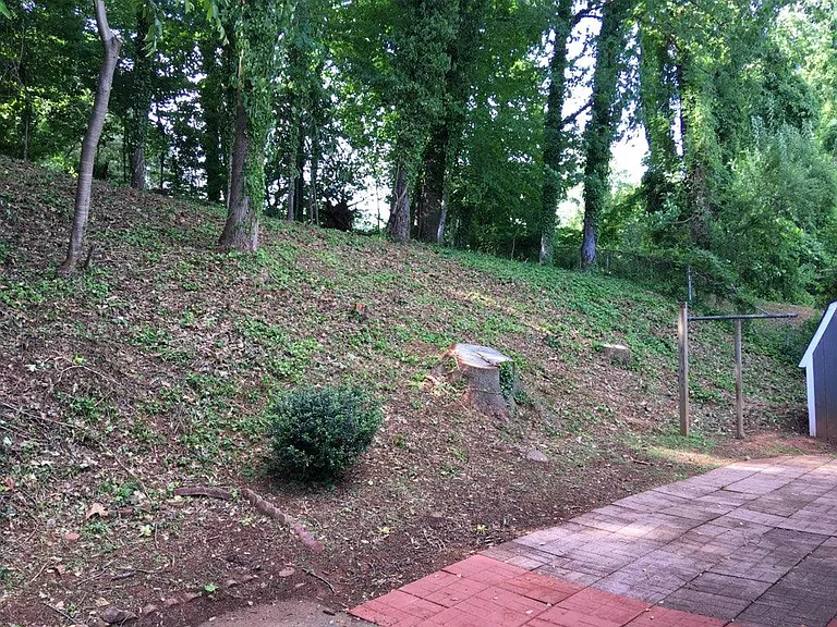 109 David Ter — Photo 44