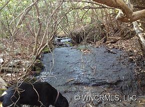 4th image of 0 Kyles Creek Ln