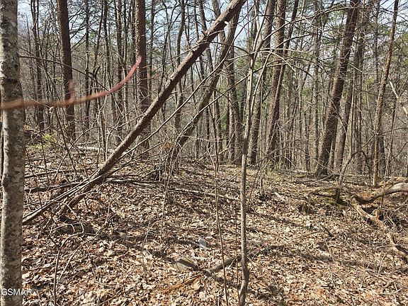 5th image of 101 Ridgefield Dr Lot 101