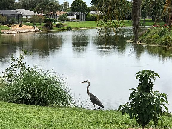 Lake view & wildlife