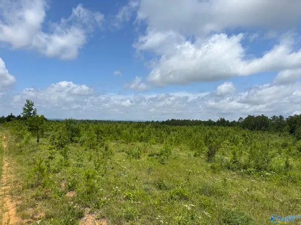 TRACT 1 Tom Cat Rd, Gadsden, AL 35903