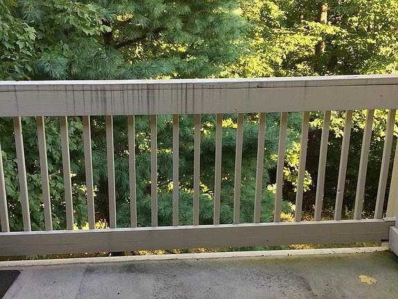 5th image of 5761 Rexford Ct Suite 5761-S