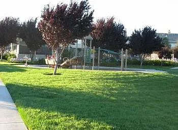 3131 Arcadia Cmn #8 — Photo 25